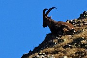 Bellissimo ritorno sul Pizzo Tre Signori (2554 m) da Ornica nella splendida giornata del 27 settembre 2018